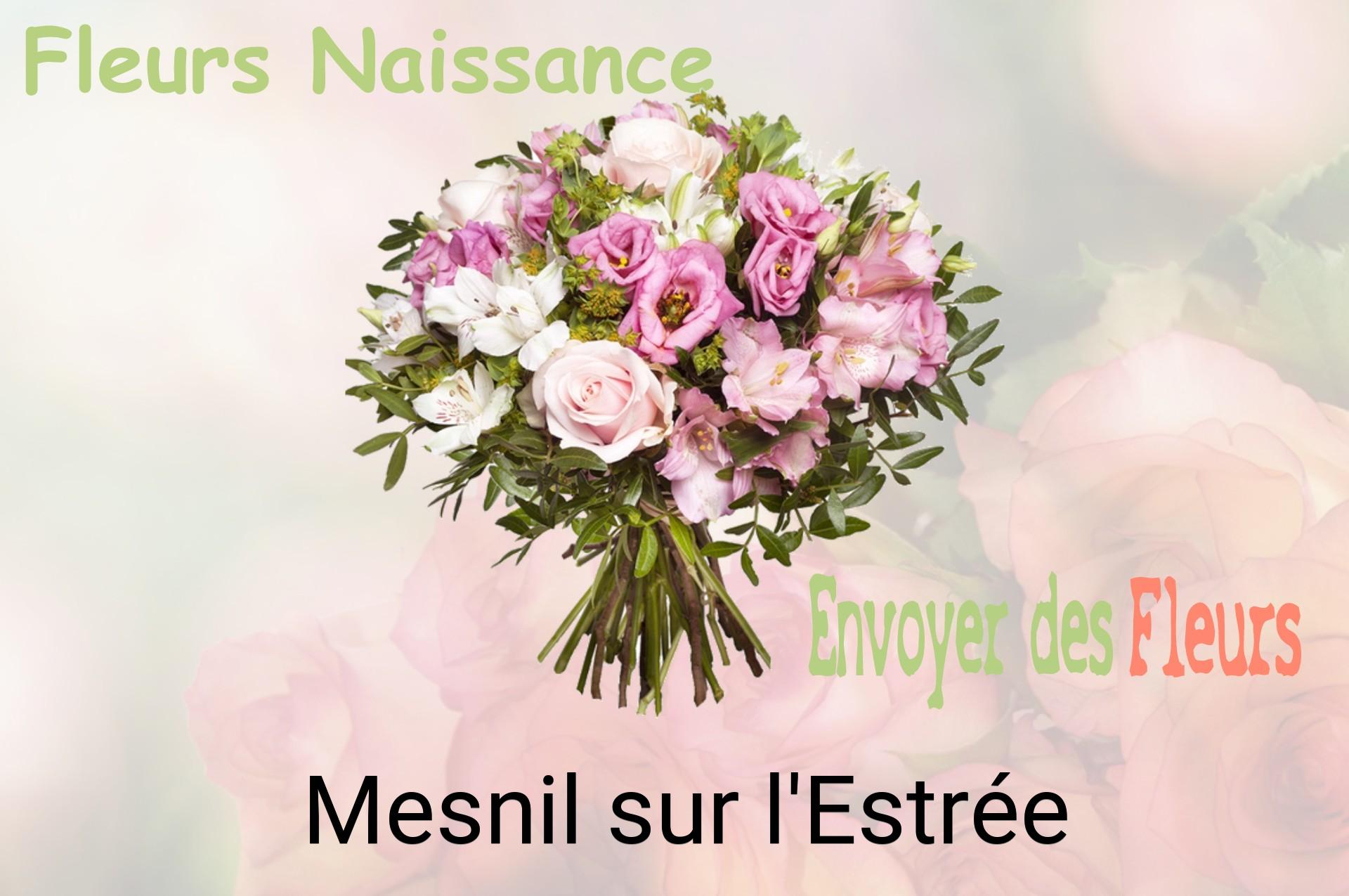Bouquet de fleurs de naissance livré à Mesnil-sur-l'Estrée